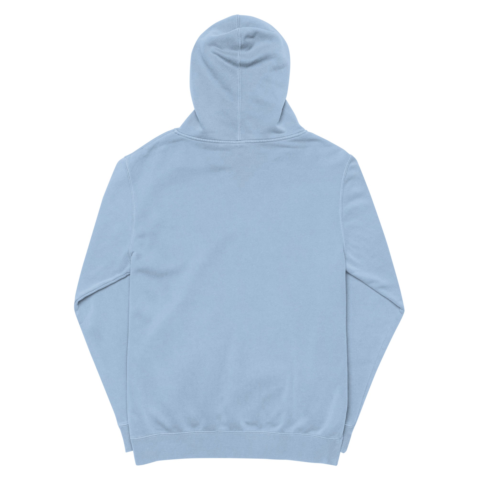 unisex-pigment-dyed-hoodie-pigment-light-blue-back-6530664fb1660.jpg