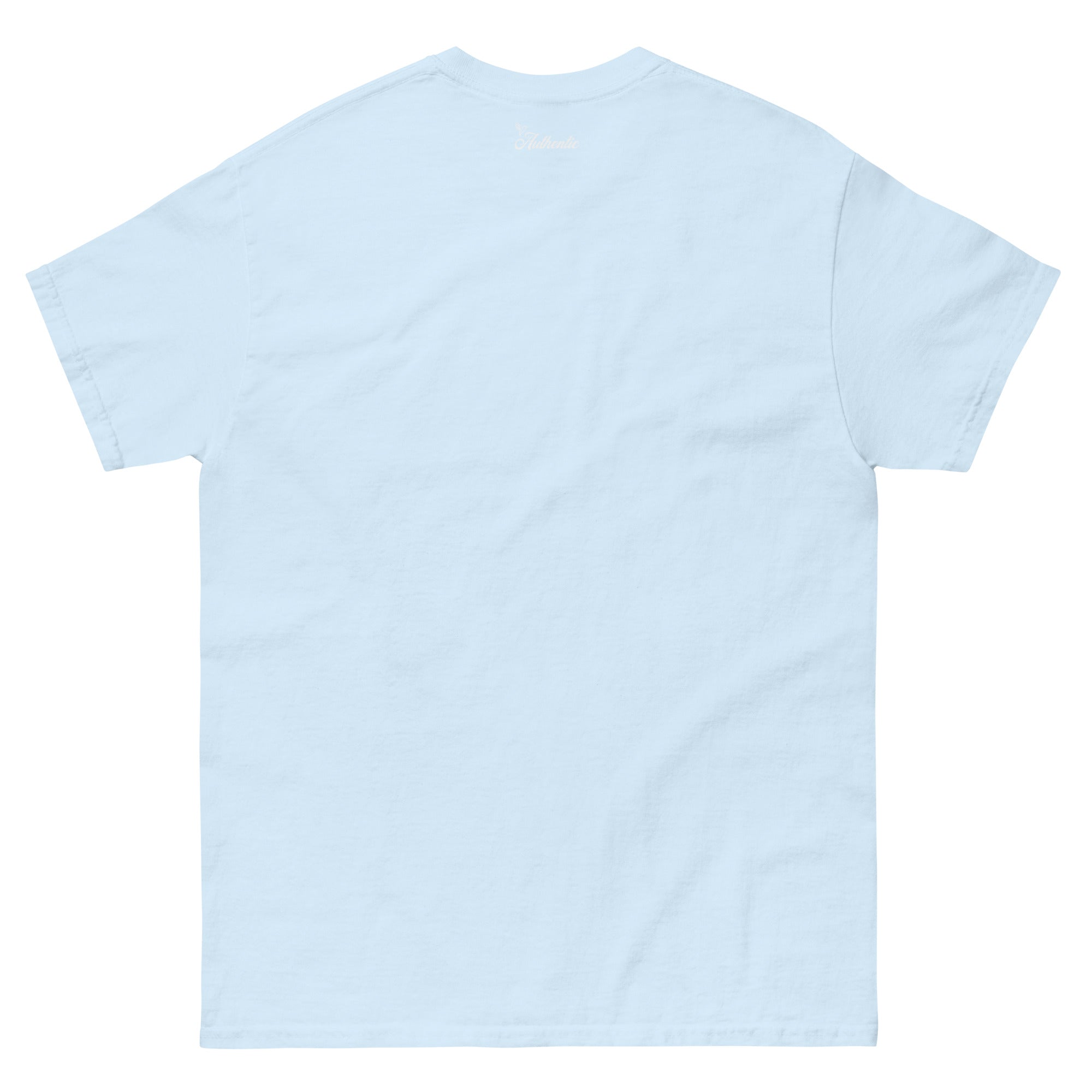 mens-classic-tee-light-blue-back-64447c21d6c55.jpg